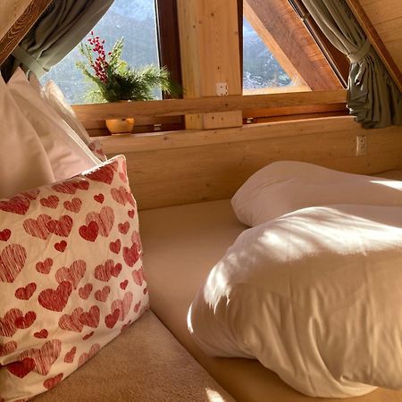 Penzion Tatry Zdiar - Domcek Pre Dvoch エクステリア 写真